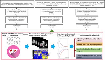 Development and validation of a pyradiomics signature to predict initial treatment response and prognosis during transarterial chemoembolization in hepatocellular carcinoma